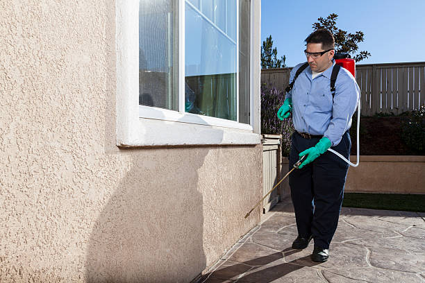 Best Cockroach Control  in Shepherdstown, WV